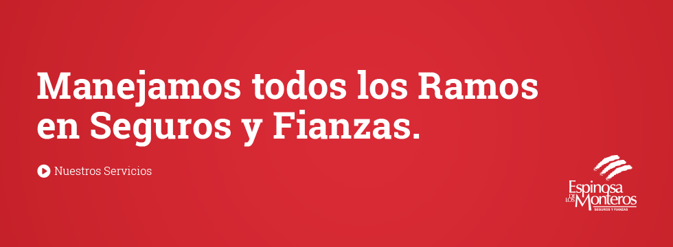 Manejamos todos los Ramos en Seguros y Fianzas